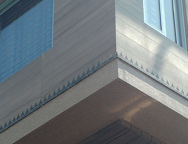Installation of Bird Net for Pigeon Control