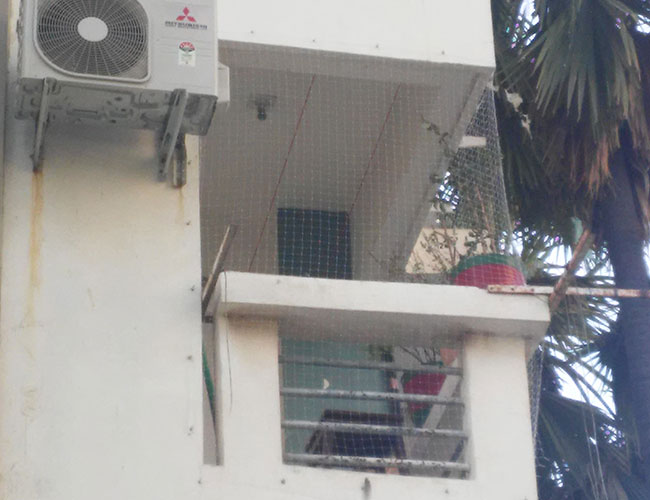 Installation of Bird Net for Pigeon Control