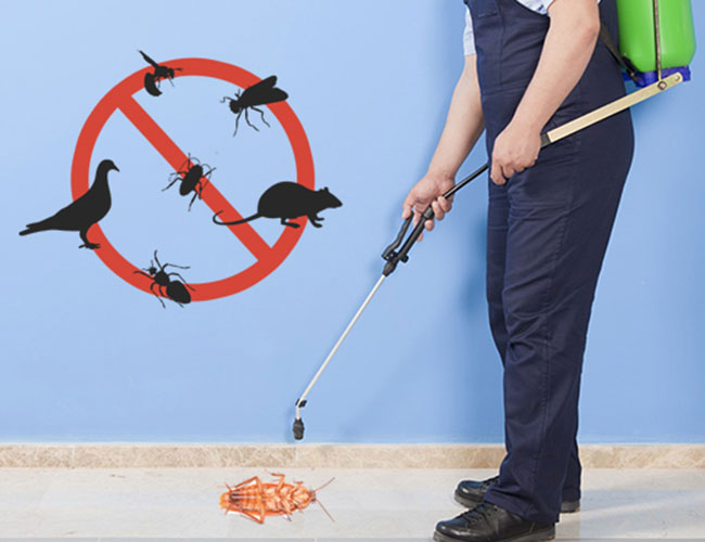 General Pest Solution
