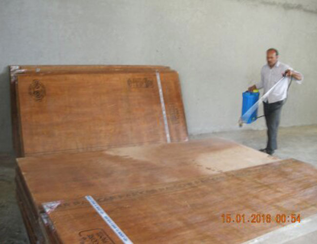 Powder Postbeetle Solution