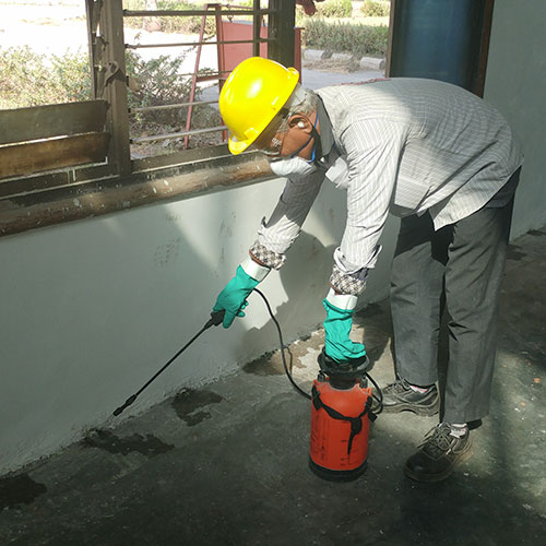 Termite Control
