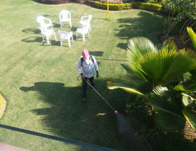 Weed Control