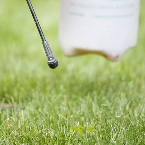 Weed Control